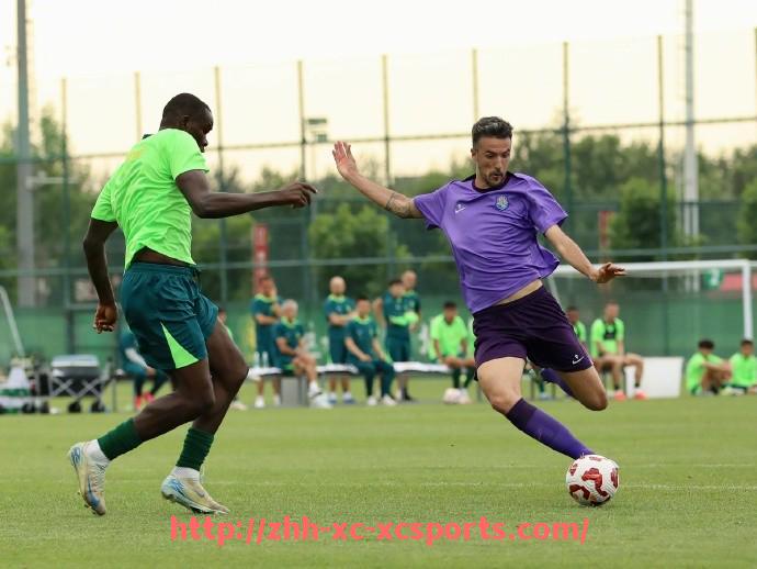 杏彩体育-哪些城市拥有德甲球队及城市足球文化介绍