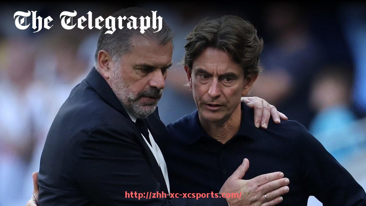 杏彩体育-法甲联赛整体收入及经济效益分析报告