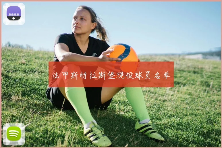 法甲斯特拉斯堡现役球员名单
